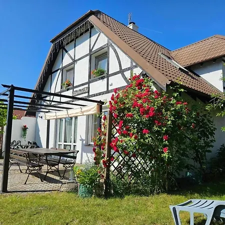 With A Garden, Close To The *